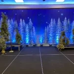WINTER TREE BACKDROP 12’X30’