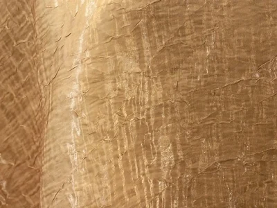 Iridescent Crush - Beige 752 Rental Edmonton