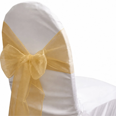 Organza-Antique-Gold-Sash-.webp