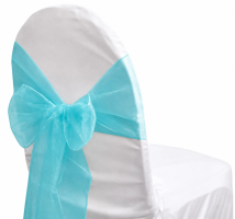 Organza Aqua Sash