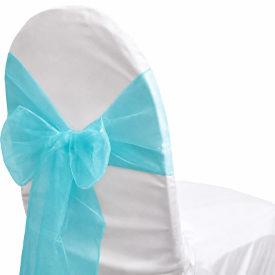 Organza Aqua Sash