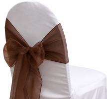 Organza Brown Sash