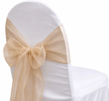 Organza Champagne Sash