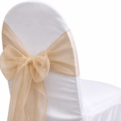 Organza Champagne Sash