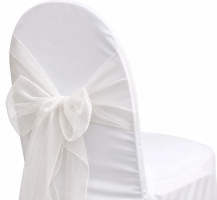 Organza Frost Sash