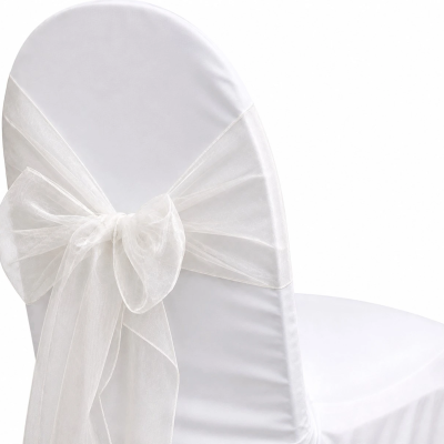 Organza Frost Sash