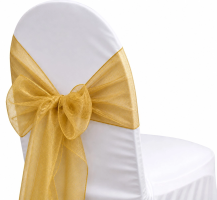 Organza Gold Sash
