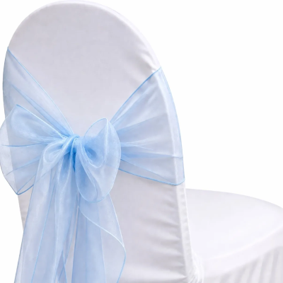 Organza Light Blue Sash