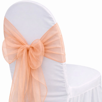 Organza Peach Sash