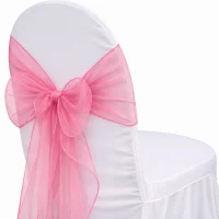 Organza Pink Sash