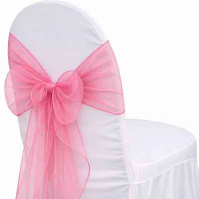 Organza Pink Sash