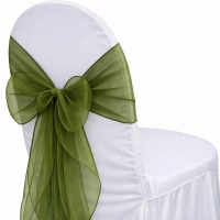 Organza Pistachio Sash