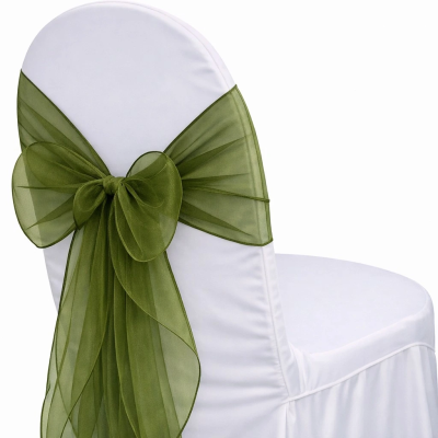 Organza Pistachio Sash