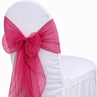 Organza Raspberry Sash