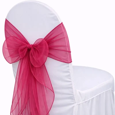 Organza Raspberry Sash