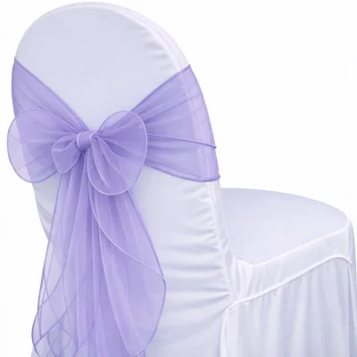 Organza Violet Sash