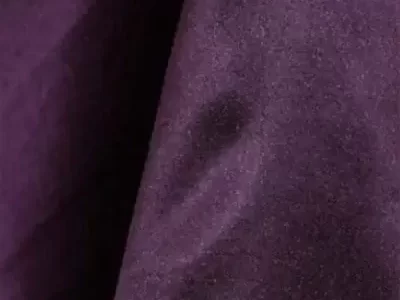 Plum-615