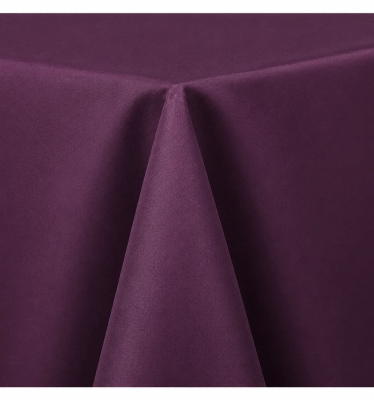 Plum Matte Satin Chair Sash Rental Edmonton
