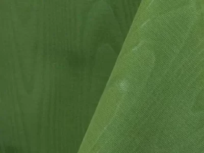 apple-green-bengaline