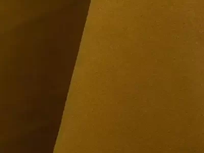 curry