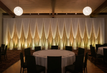 dinah-drape-backdrop-rentals-edmonton