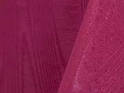 fuchsia-bengaline