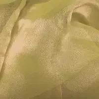 gold-organza-ultimate-nlv72lvr1an1yj9su1oupum93w8uoeyk9og93yo2dc