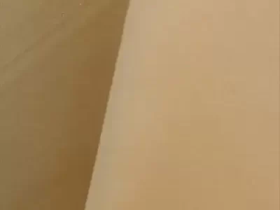 maize