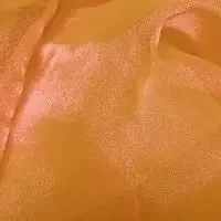 orange-organza-ultimate-nlv740n1ackjdh82lnmpght56pao82k2gnoh0wkt1c