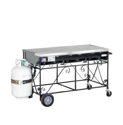 rental-bbq